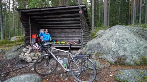 La nature scandinave à vélo Des élans et des abeilles