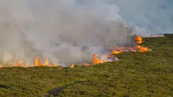 La nature se déchaîne