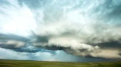 La nature se déchaîne Requins tueurs et nomophobie