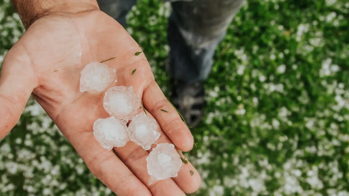 La nature se déchaîne Tornades et trombes marines