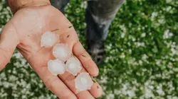 Visuel de La nature se déchaîne