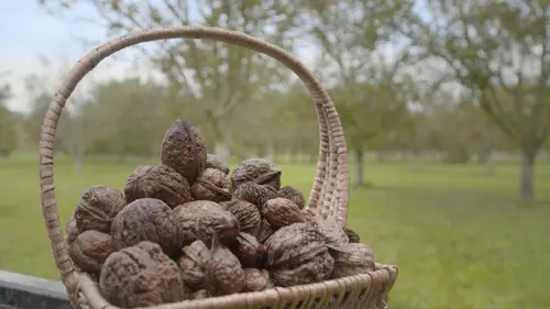 Audiences TV : La noix nous fait craquer