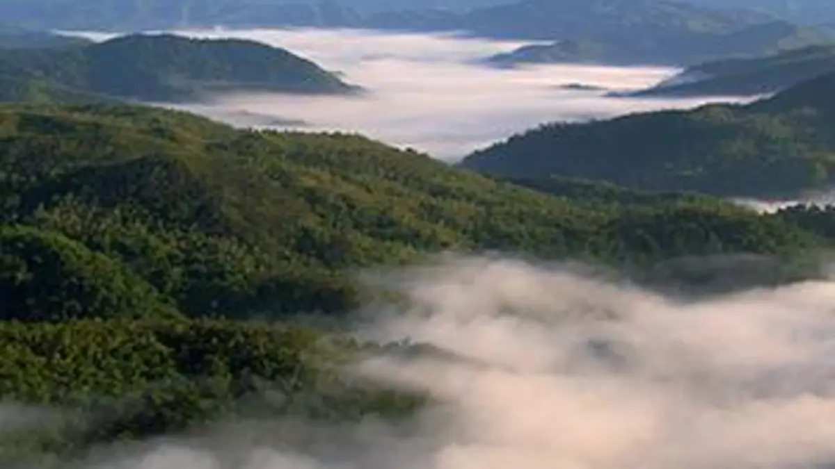 La Nouvelle-Calédonie, entre brousse et forêt