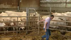 La nouvelle clé des champs