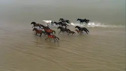 La Nouvelle-Zélande, un paradis sur terre