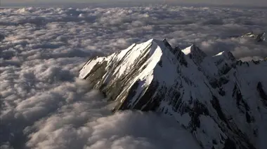 Au royaume des kaoris