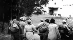 Visuel de La Nuit de cristal : Les pogroms de novembre