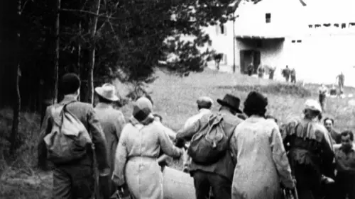 La Nuit de cristal : Les pogroms de novembre