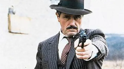 La nuit du flingueur