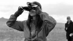 La particule humaine en streaming