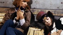 Visuel de La peau de Torpédo