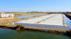 La péninsule ibérique au fil de l'eau