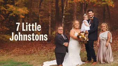 La petite famille Johnston Mauvaise mine en streaming