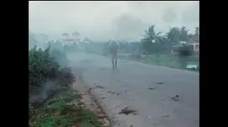 La petite fille au napalm : histoire d'une photographie