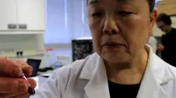 Visuel de La pharmacie des malades oubliés