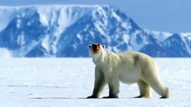 Sous l'emprise des glaces