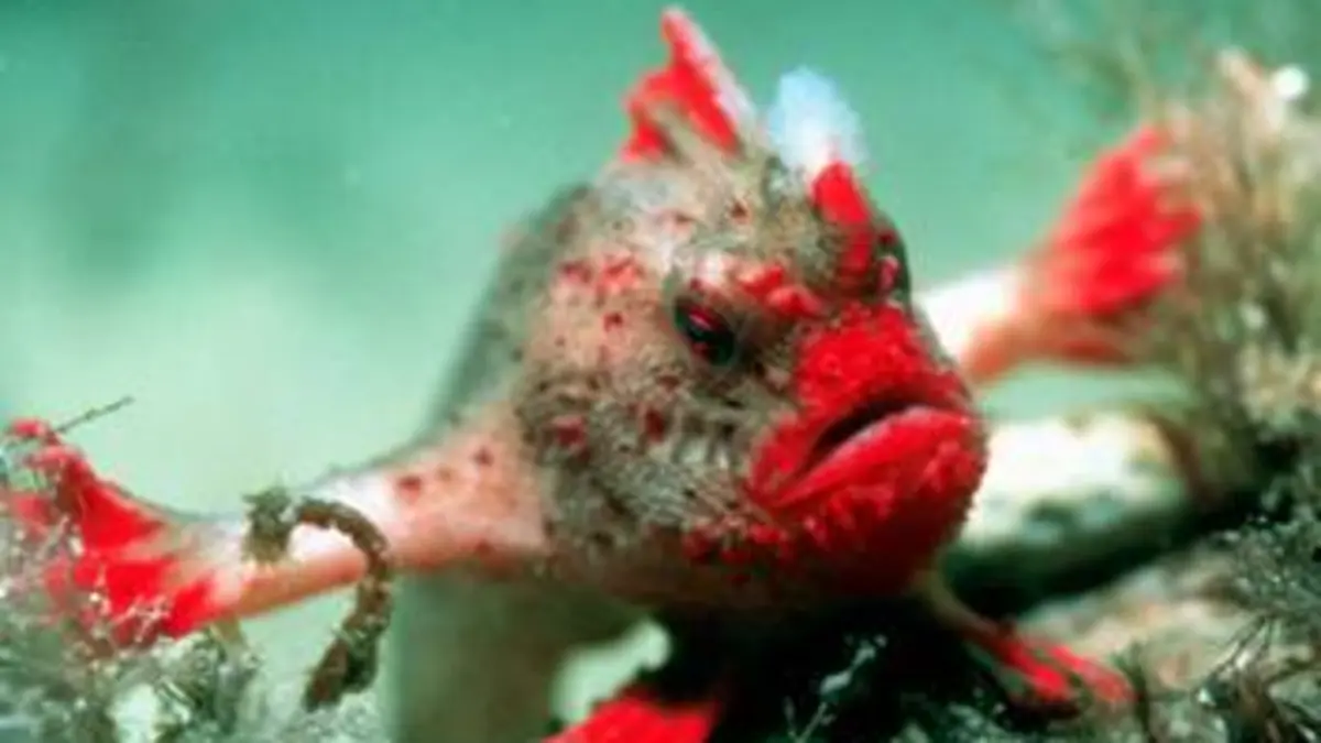Planète bleue Au fil des saisons