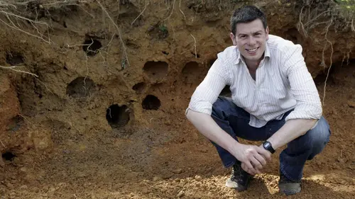 La planète des fourmis