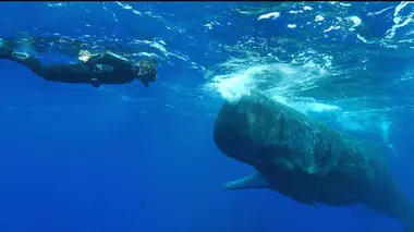 La conquête des géants