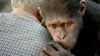 Robert Franklin dans La planète des singes : les origines (2011)