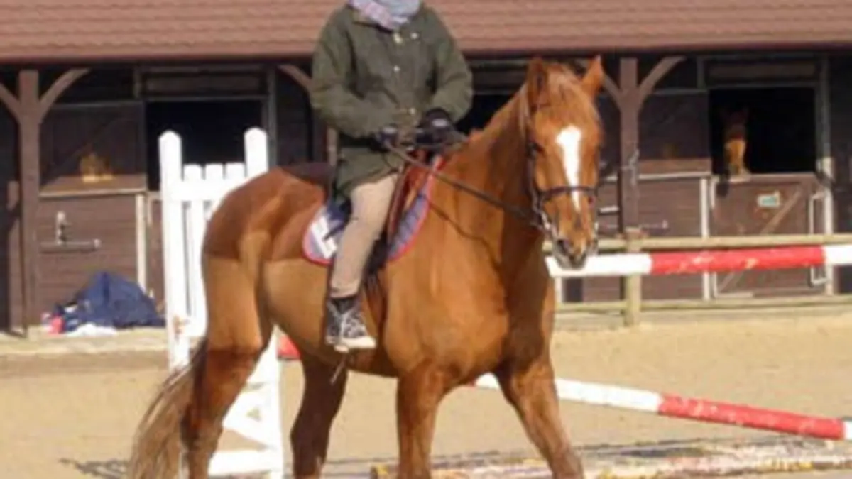 La plus belle conquête du cheval