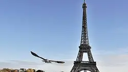 La plus belle ville du monde