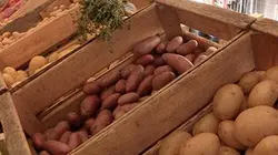 Visuel de La pomme de terre dans tous ses états