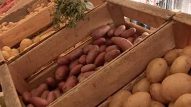 La pomme de terre dans tous ses états