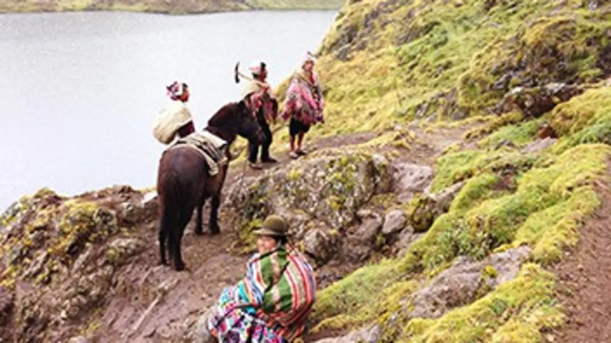 La pomme de terre, l'autre trésor inca