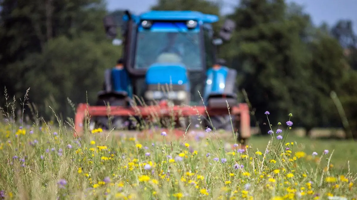 La prairie : un petit coin de paradis