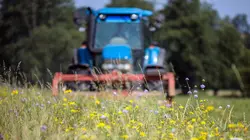 La prairie : un petit coin de paradis