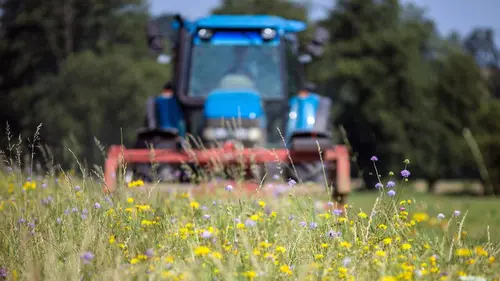 La prairie : un petit coin de paradis