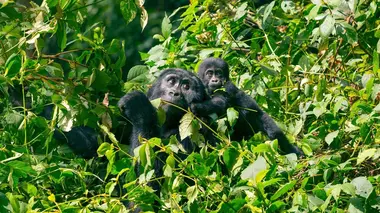 Une vie pleine d'aventures