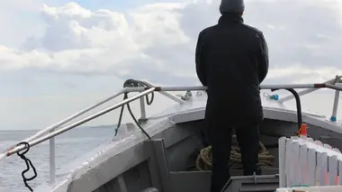 La Première Guerre mondiale : combats sur les mers Les dreadnoughts de Scapa Flow