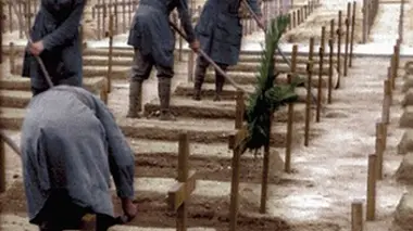 Victoire et désespoir