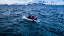 La quête du sauvage