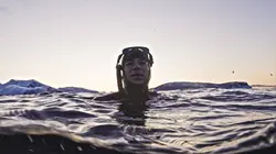 La quête du sauvage