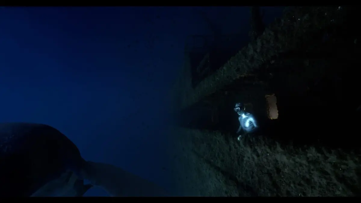 La quête du sauvage