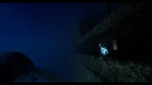 La quête du sauvage