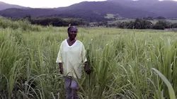 La reine de l'évasion