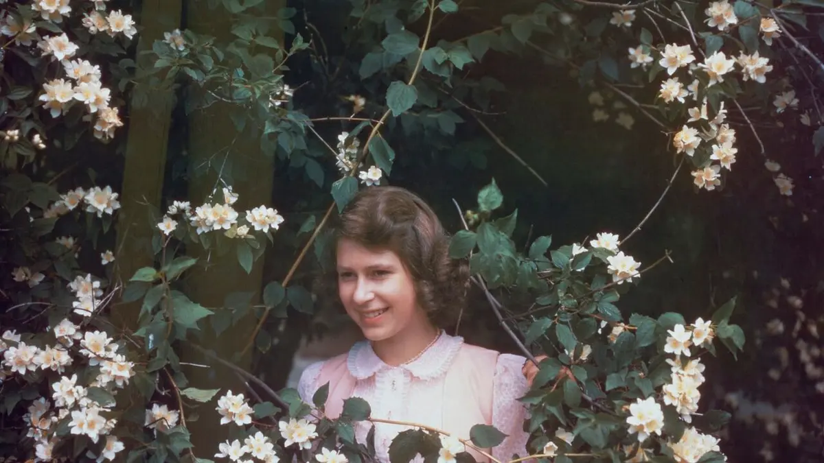 La reine et la guerre