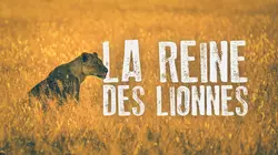 La reine lionne