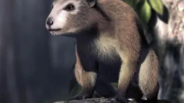 La revanche des mammifères