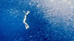 La respiration, une savante mécanique