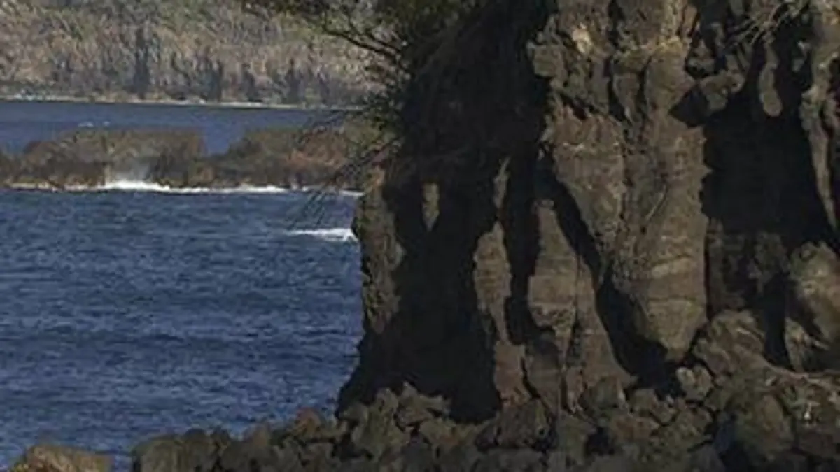 La Réunion des cultures