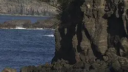 Visuel de La Réunion des cultures