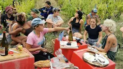 Visuel de La Révole nature, de la vigne au verre