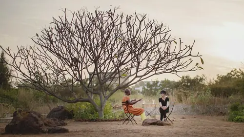 News de La révolte des vieux