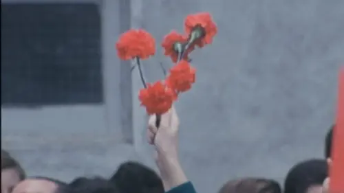 La révolution des Oeillets