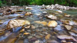 La rivière